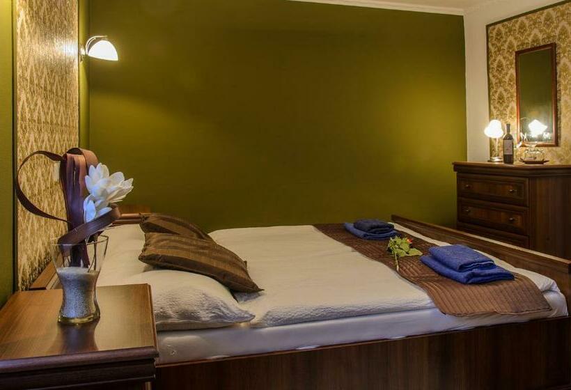 חדר סטנדרט, Zámecký Penzion Rotunda