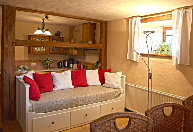 침실 1개 아파트, Rittergut Positz