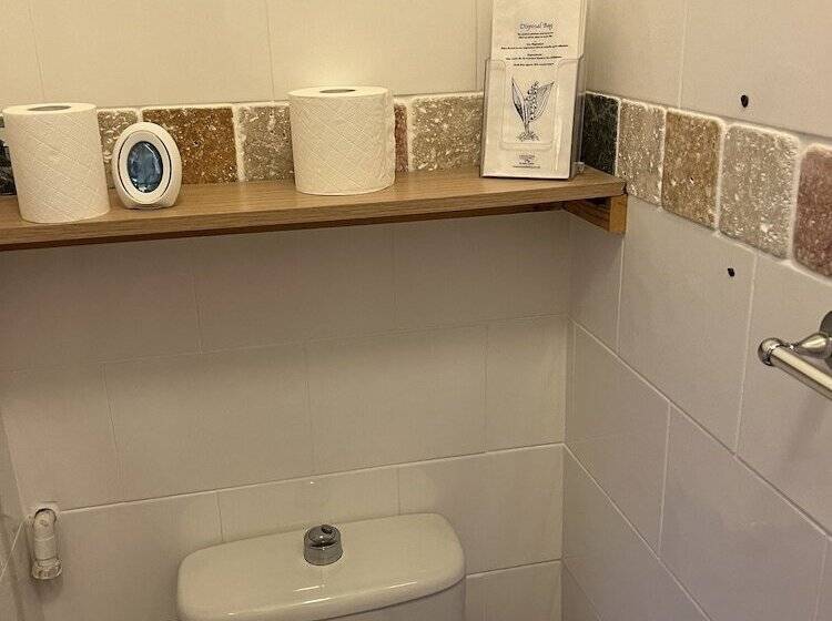 스탠다드 싱글 룸, The Singlecote