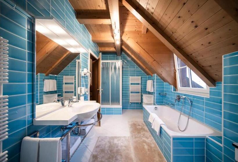 Апартаменты 1 Спальня, Residence Villa Stella