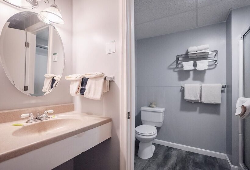 غرفة قياسية, Scenic Inn