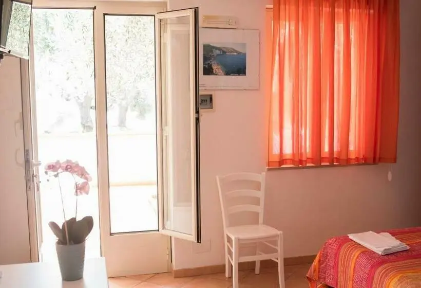 استودیوی استاندارد, Camping Apartment Vignanotica
