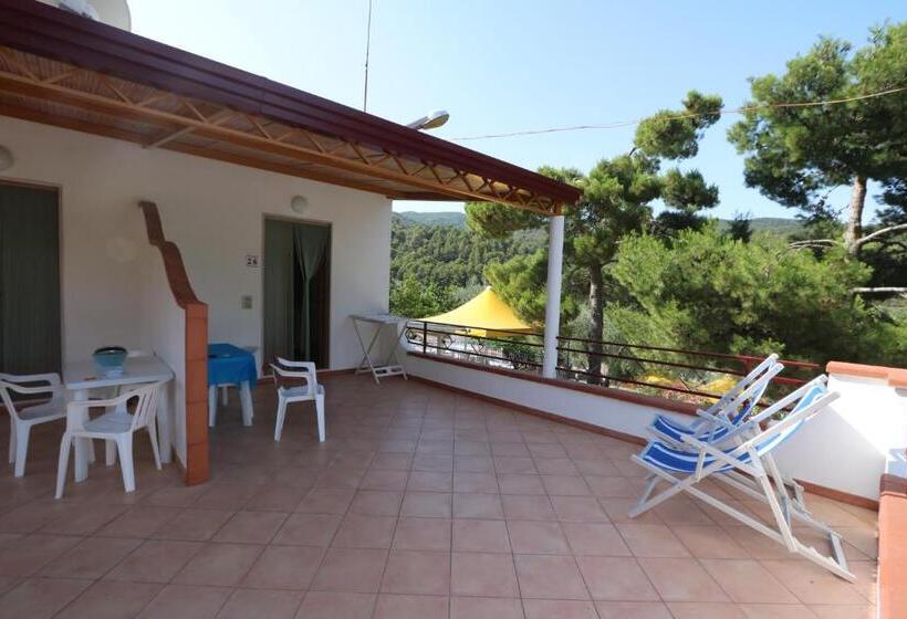 带1个卧室的公寓, Camping Apartment Vignanotica