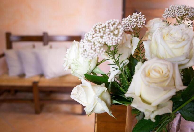 شقة غرفة واحدة مطلة على البحر, Locanda Le Tre Sorelle