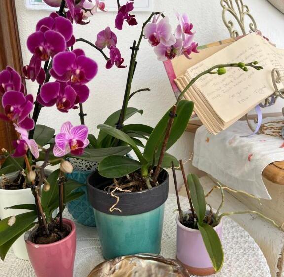 Трехместный Номер Deluxe, Barocchetto Romano