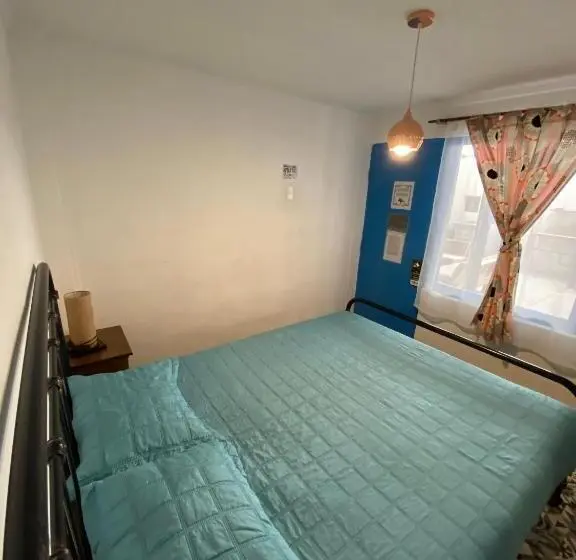 اتاق استاندارد با سرویس بهداشتی مشترک, Rey Lagarto Hostel