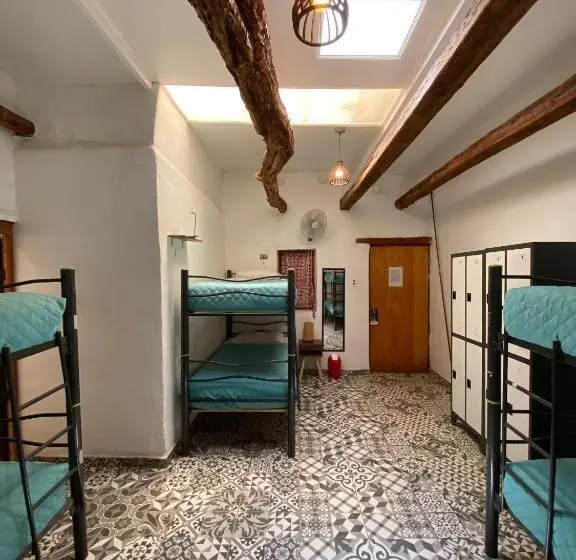 اتاق خانوادگی, Rey Lagarto Hostel
