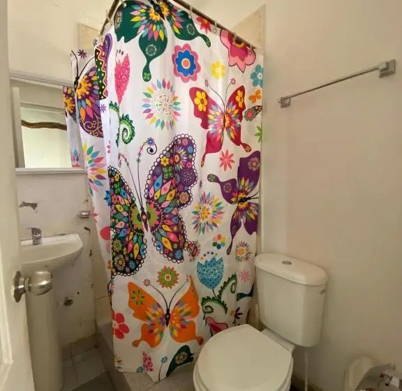 اتاق استاندارد چهار تخته, Rey Lagarto Hostel