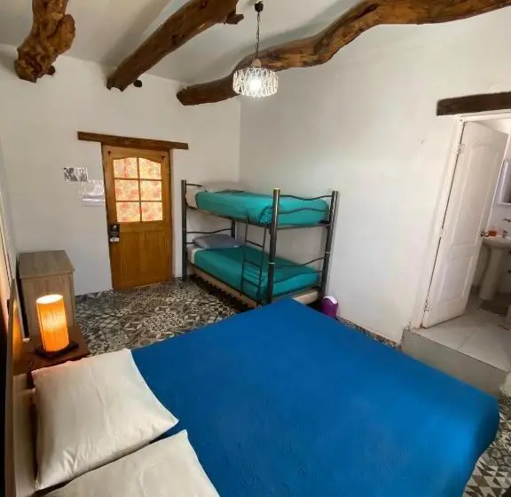 اتاق استاندارد چهار تخته, Rey Lagarto Hostel