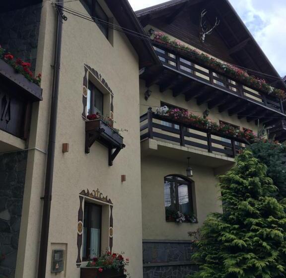 וילה בת חדר שינה 1, Pension Casa Ali & Andu