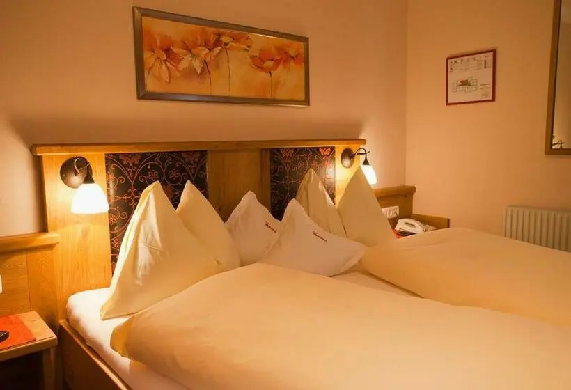 スタンダードルーム, Wellness Aparthotel Montana