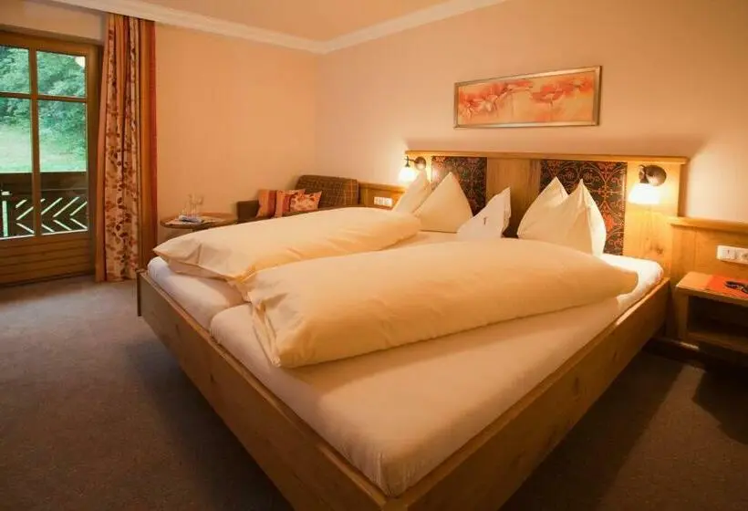 スタンダードルーム, Wellness Aparthotel Montana