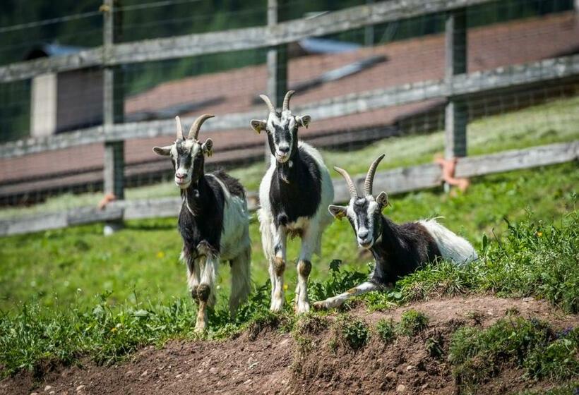 Апартаменты 1 Спальня, Agritur Ciasa Dò Parè