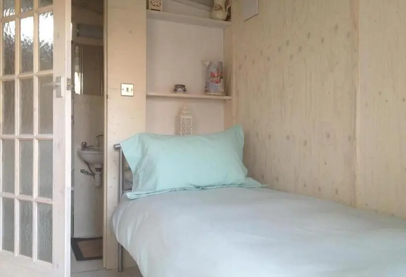 エコノミーシングルルーム, Alice Guest House