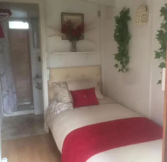 エコノミーシングルルーム, Alice Guest House