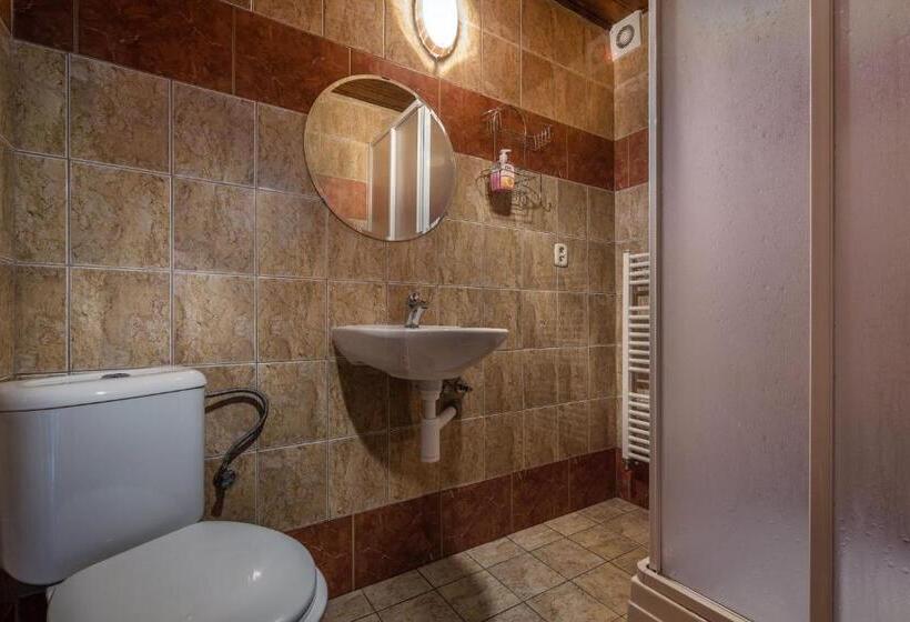 Апартаменты 1 Спальня, Penzion Goral