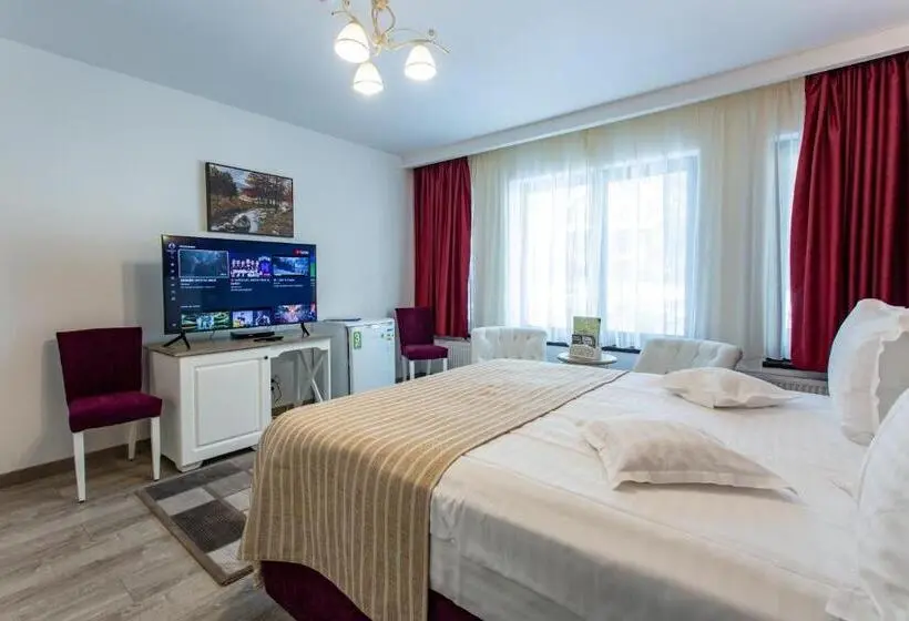 デラックスルーム, Pensiunea Carmen`s Mansion B