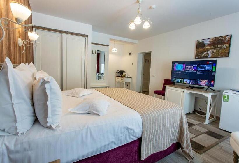 豪华房间, Pensiunea Carmen`s Mansion B