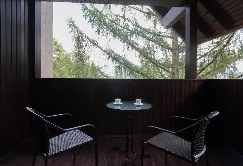 Полулюкс с Балконом, Pensiunea Carmen`s Mansion B