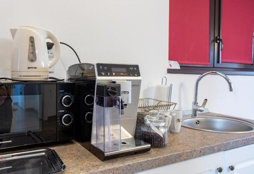 小型套房带阳台, Pensiunea Carmen`s Mansion B