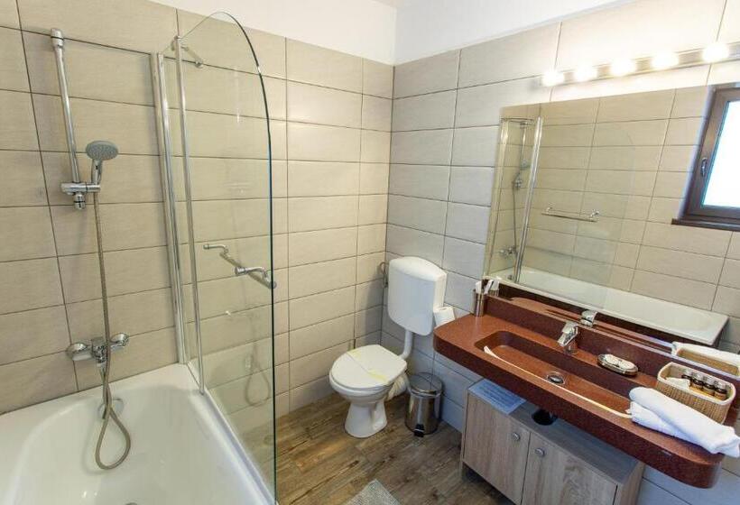 小型套房带阳台, Pensiunea Carmen`s Mansion B