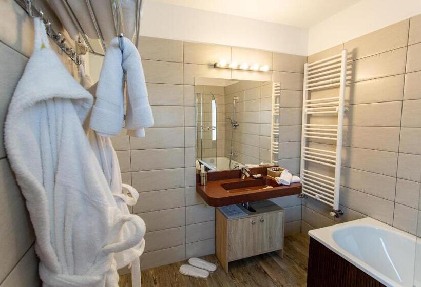 带大床的标准间, Pensiunea Carmen`s Mansion B