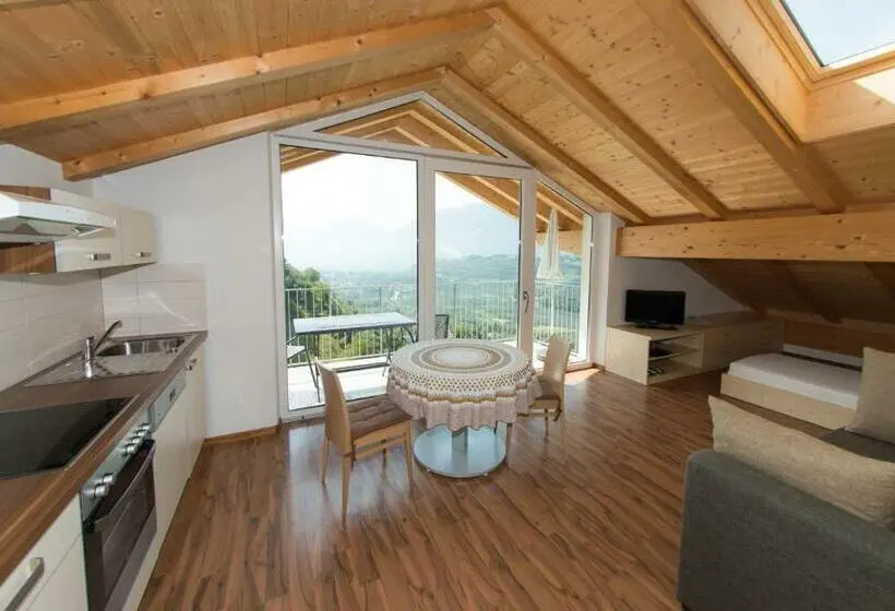 آپارتمان سوپریور 1 خوابه, Residence Fiegl