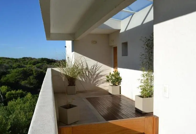 ２ベッドルームアパートメント, Valeria Playa Apart
