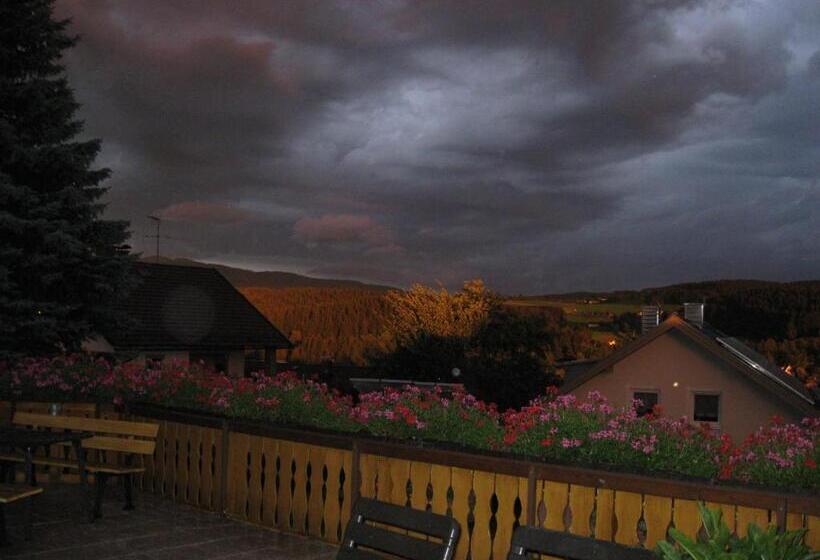 标准工作室带阳台, Gästehaus Steininger