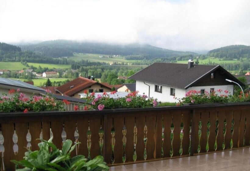 标准间带阳台, Gästehaus Steininger