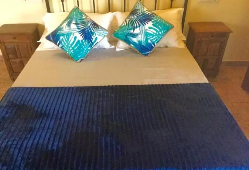 اتاق استاندارد, Hostal San Pedro