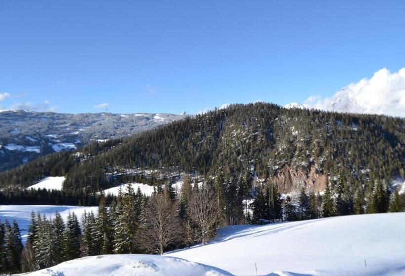 غرفة قياسية فردية, Innviertler Berggasthof