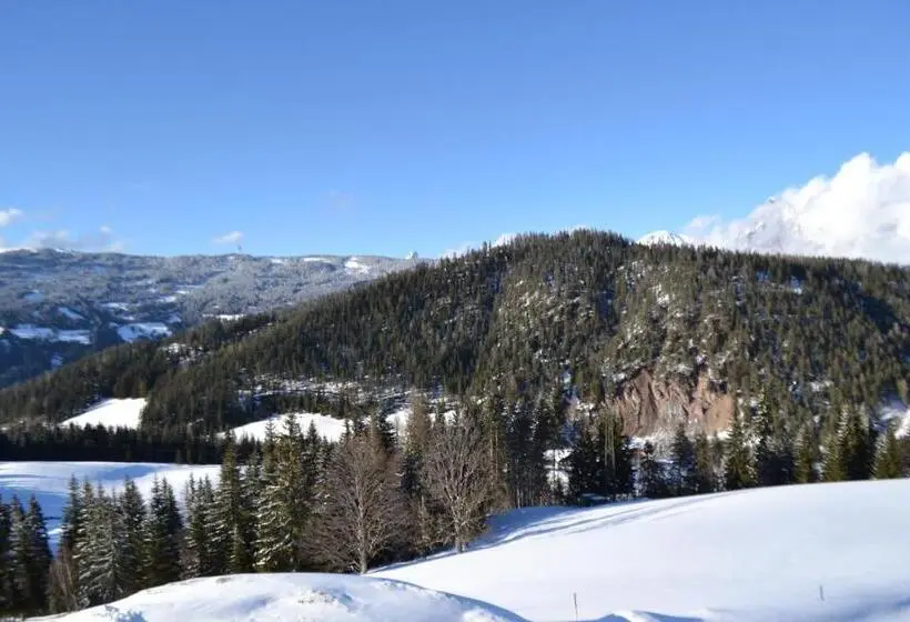 スタンダードシングルルーム, Innviertler Berggasthof