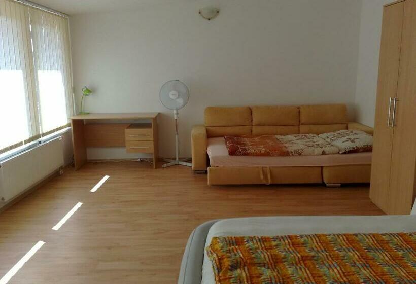 1ベッドルームアパートメント, Ubytovani U Kulky