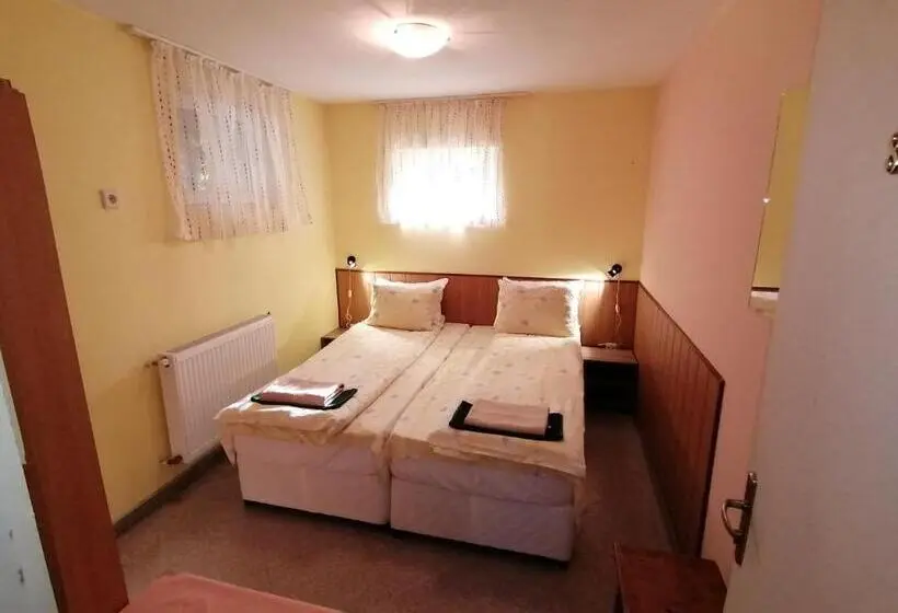 اتاق اکونومی, Aleks Guest House