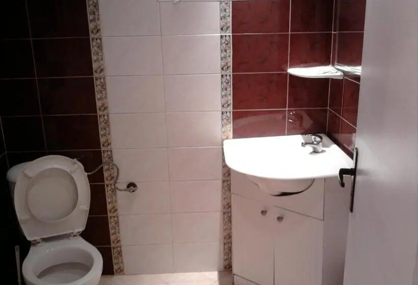 اتاق اکونومی, Aleks Guest House