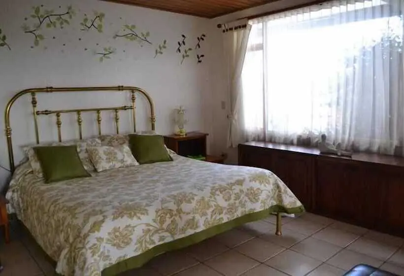 スーペリアールーム, Miravalle Suites