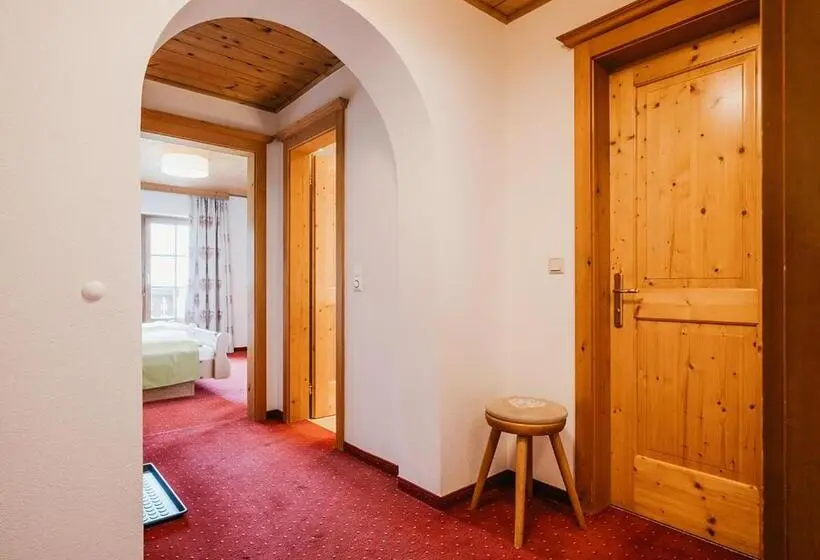 آپارتمان 1 خوابه, Hoferhof Ski In & Ski Out Hotel Schladming  Dachstein