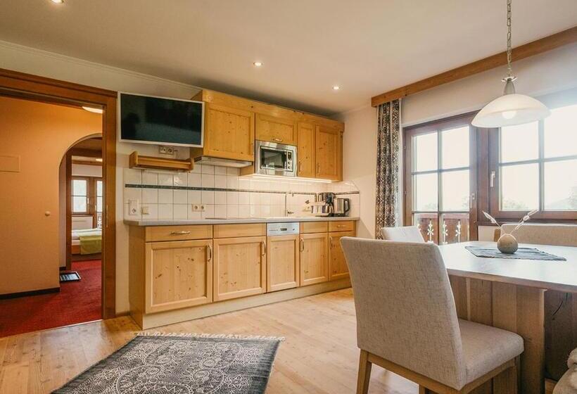 آپارتمان 1 خوابه, Hoferhof Ski In & Ski Out Hotel Schladming Dachstein