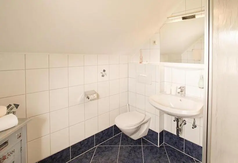 اتاق خانوادگی, Hoferhof Ski In & Ski Out Hotel Schladming  Dachstein