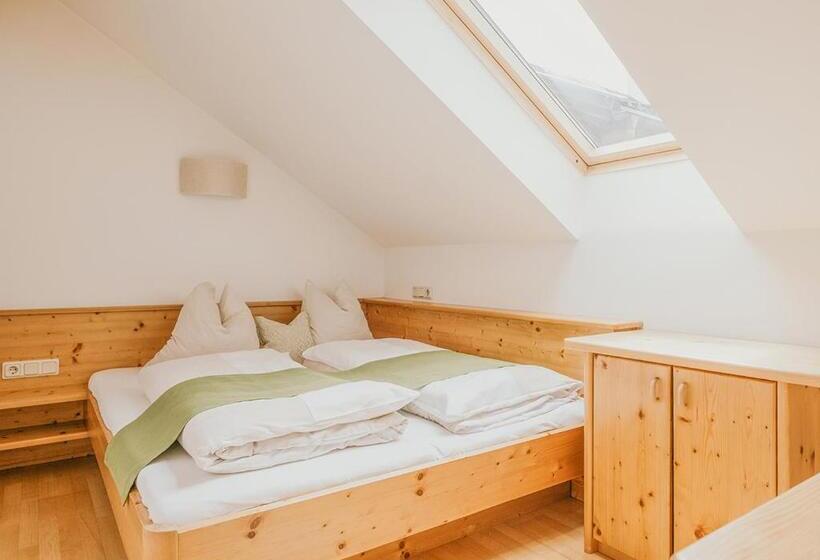 آپارتمان 2 خوابه, Hoferhof Ski In & Ski Out Hotel Schladming Dachstein