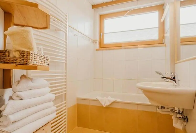 آپارتمان 2 خوابه, Hoferhof Ski In & Ski Out Hotel Schladming  Dachstein