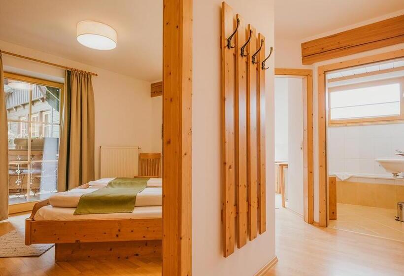 آپارتمان 2 خوابه, Hoferhof Ski In & Ski Out Hotel Schladming  Dachstein