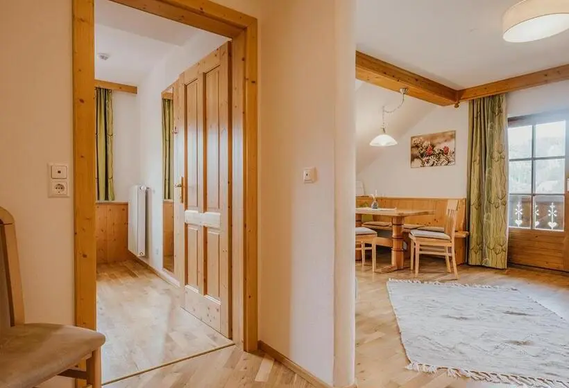 آپارتمان 3 خوابه, Hoferhof Ski In & Ski Out Hotel Schladming  Dachstein