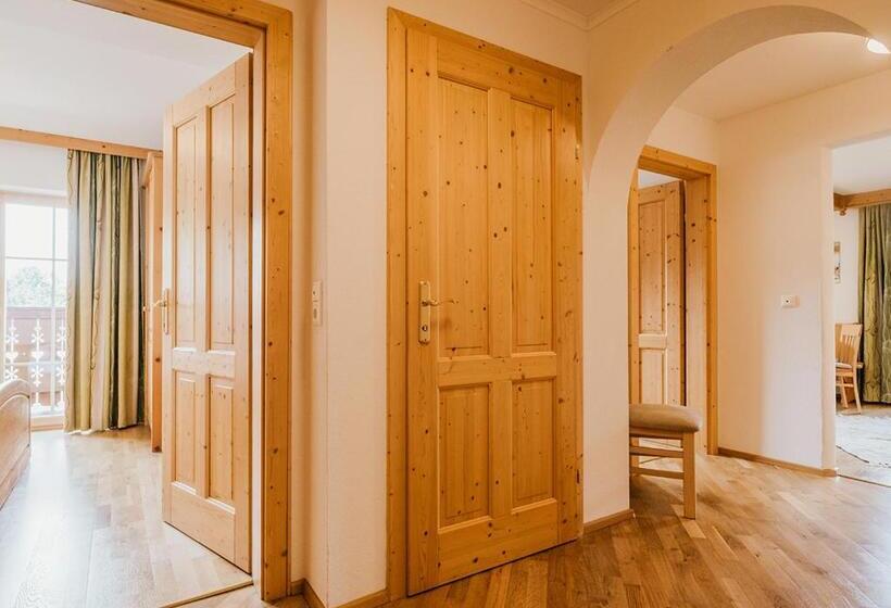 آپارتمان 3 خوابه, Hoferhof Ski In & Ski Out Hotel Schladming Dachstein