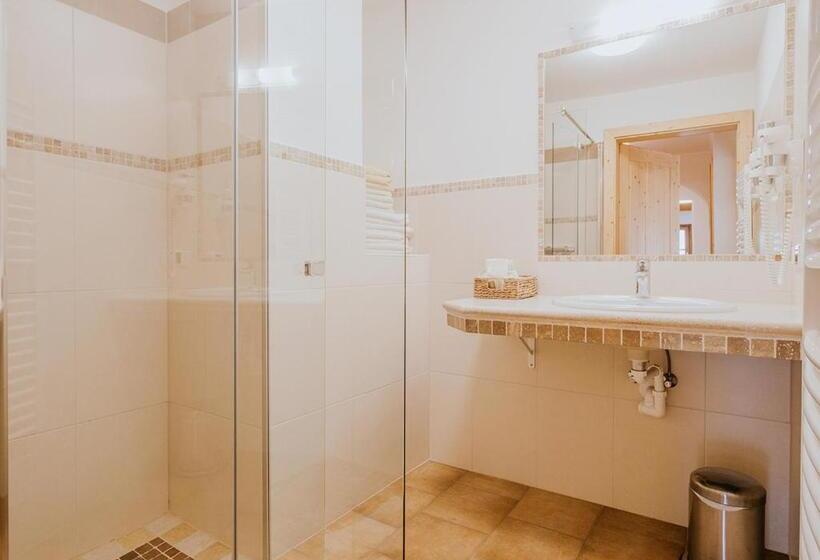 آپارتمان 3 خوابه, Hoferhof Ski In & Ski Out Hotel Schladming Dachstein