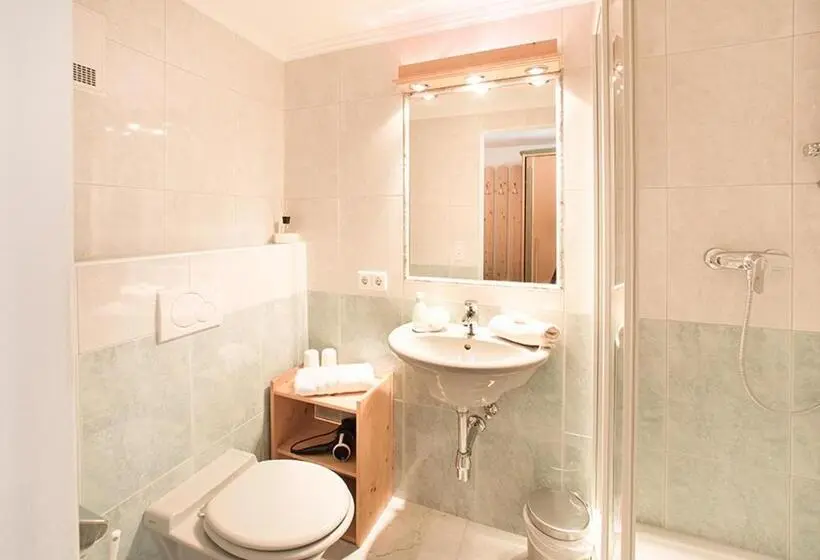 اتاق استاندارد, Hoferhof Ski In & Ski Out Hotel Schladming  Dachstein