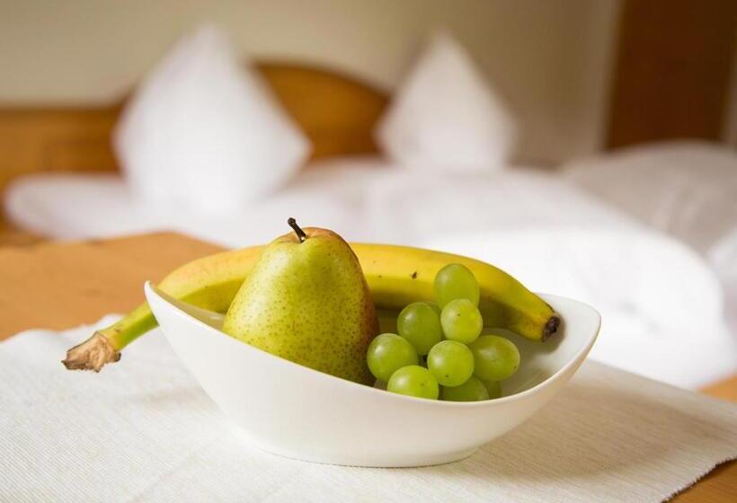 اتاق استاندارد, Hoferhof Ski In & Ski Out Hotel Schladming  Dachstein