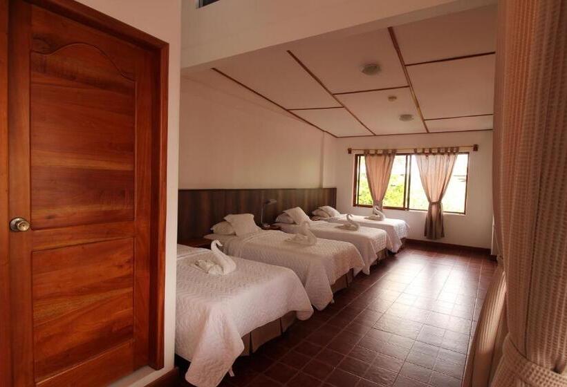 اتاق استاندارد چهار تخته, Lava House Hostal