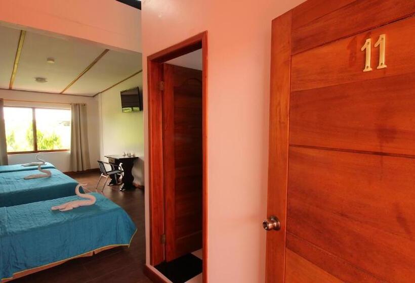 اتاق استاندارد چهار تخته, Lava House Hostal